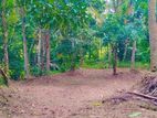 Land For Sale In Panadura