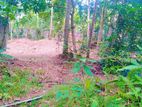 Land for Sale in Panadura