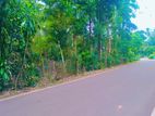 Land for Sale in Panadura