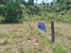 Land For sale In Panadura
