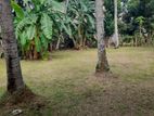 Land for Sale in Panadura
