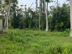 Land For Sale In Panadura