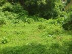 Land For Sale In Panadura