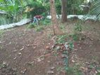Land for sale in panadura