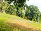 Land for Sale in Panadura Hirana