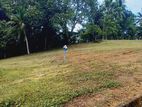 Land for sale In Panadura Hirana