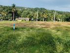 Land for sale in panadura Hirana