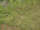 Land for Sale in Panadura - Hirana