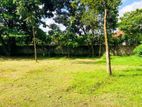 Land for Sale in Panadura - Hirana