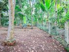 Land for sale in Panadura Hirana road