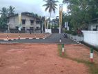 Land for Sale in Panadura Kurusa Junction