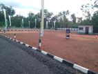 Land for Sale in Panadura Kurusa Junction