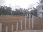Land for Sale in Panadura Kurusa Junction