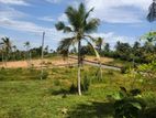 Land for Sale in Panadura Malamulla