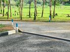 Land for Sale in Panadura Malamulla