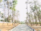 Land for sale in panadura Malamulla
