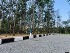 Land for sale in panadura Malamulla