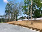 Land for Sale in Panadura Malamulla
