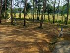 Land for sale in panadura Malamulla
