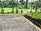 Land for sale in panadura Malamulla