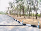 Land for Sale in Panadura Malamulla