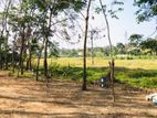 Land for sale in panadura Malamulla