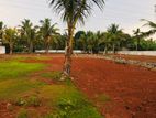 Land for Sale in Panadura Nalluruva (පානදුර නල්ලුරුව )