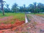 Land for Sale in Panadura Nalluruwa