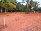 Land for Sale in Panadura Nalluruwa