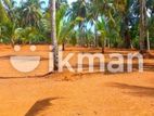 Land for Sale in Panadura ,Nalluruwa