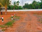 Land for Sale in Panadura Nalluruwa (පානදුර නල්ලුරුව)