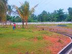 Land for Sale in Panadura Nalluruwa (පානදුර නල්ලුරුව)