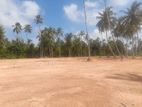 Land for Sale in Panadura (පානදුර)