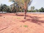 Land for Sale in Panadura (පානදුර )