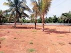 Land for Sale in Panadura (පානදුර)