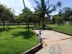 Land for sale in panadura Town