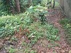 Land for Sale in Panadura Town