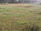 Land for sale in panadura town