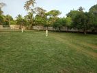 Land for Sale in Panadura Town