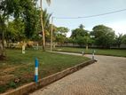 Land for Sale in Panadura Town