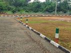 land for sale in panadura,kurussa junction...
