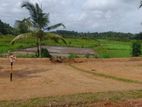 Land For Sale In Panagoda