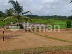 land for sale in panagoda