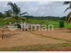 land for sale in panagoda