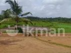 land for sale in panagoda