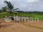 land for sale in panagoda