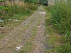 Land for Sale in Panagoda