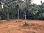Land for Sale in Panagoda