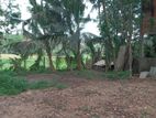 Land For Sale In Panagoda
