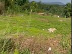 Land for Sale in Panagoda Homagama